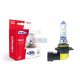 HB4 51W AMIO LumiTec LIMITED +130% DUO