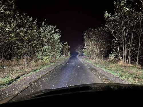 D2S PREMIUM LED izzó – Plug&Play DUO, 6000K (Párban)