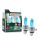 H4 60/55W M-TECH Powertec Extreme Weather H4 12V DUO